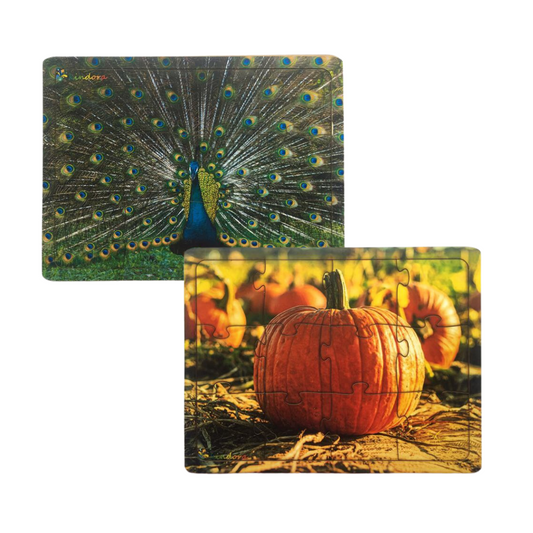Montessori Jigsaw Puzzle Combo - Indian Peacock and Indian Pumpkin